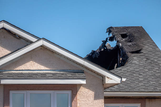 Top rated local Fire Damage Removal specialists in New Prague, MN